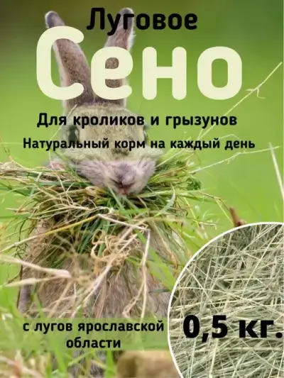 Сено для грызунов. Урожай 2026